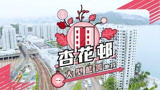 【杏花邨】 港鐵住宅項目 大型藍籌地段