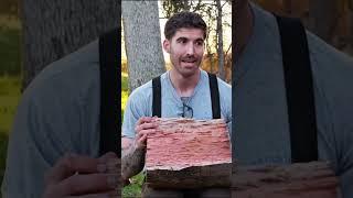 Red Gum