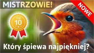 Mistrzowie Wiosennego Śpiewu – Które Ptaki Śpiewają Najpiękniej? (Jak Wydają Odgłosy i Dlaczego?)