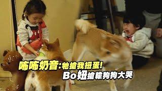 咘咘奶音：牠搶我扭蛋！　Bo妞搶輸狗狗大哭