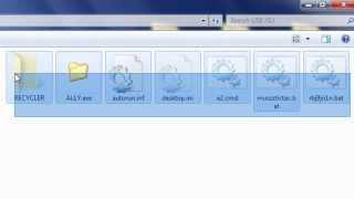 How to manually remove viruses from usb flash drive without antivirus / removal program