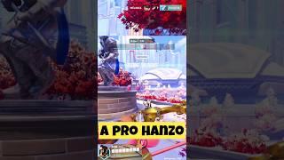When You Are A Pro Hanzo 