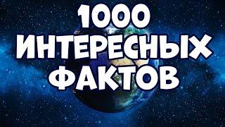 1000 INTERESTING FACTS ABOUT EVERYTHING