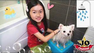 第一次幫狗狗小花洗澡（日常）Joyann能順利完成嗎？Joyann Bath A Puppy At Home By Jo Vlog