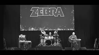 Zebra at The Florida Theatre Jacksonville Florida 9-14-2024