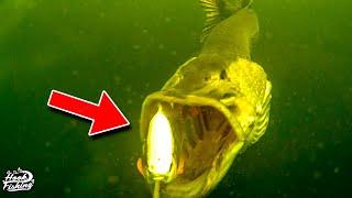 Epic Underwater Pike Strikes - See How they Take the Bait