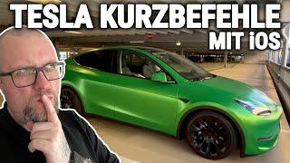 DER GESTRESSTE TESLA FAHRER UND DER KURZBEFEHL 