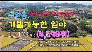 [Any의114부동산]  #128. 무안 교통요지에 개발가능한 임야 구.4,598평 지주분의사정으로 급매합니다.