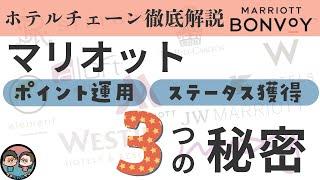 マリオット 徹底攻略講座┃ステータス獲得の近道┃キャッシュバックの秘密┃