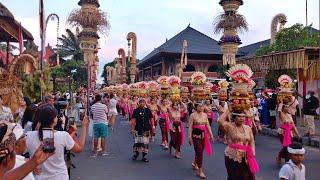 UBUD! BULE SEMAKIN RAMAI MELIHAT KEINDAHAN ADAT BUDAYA BALI