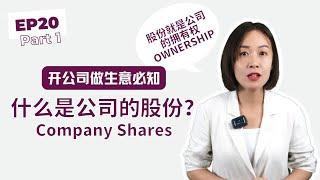 EP20.  什么是公司股份？Company Shares Part 1