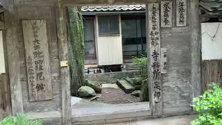 202 Entering the Temple Consumed by Nature #exploring #japan #japaneseculture #buddisttemple