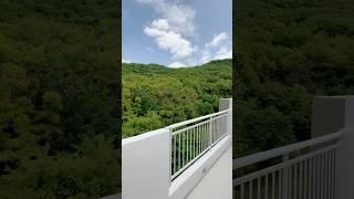 도심 속 숲세권? 석수역 4분 거리 복층테라스 아파트 공개! 핵심 정보: 1호선 석수역 도보 4분 3룸 2욕실 실용적인 구조 복층 + 테라스로 루프탑 감성#shorts