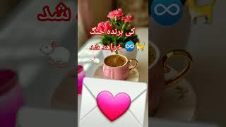 اسرائیل برنده میشه یا ایران #خبر#إسرائيل #tarot #live #music  #پادکست