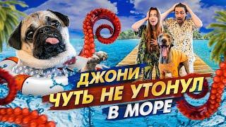 ДЖОНИ ЧУТЬ НЕ УТОНУЛ В МОРЕ 