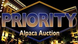 The Priority Alpaca Auction