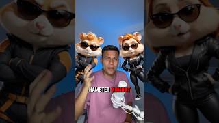 Hamster Kombat Scam #crypto #bitcoin #hamsterkombat #telegram