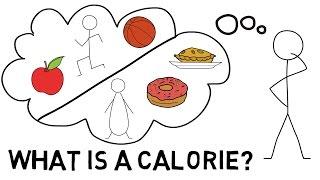 What Is a Calorie?