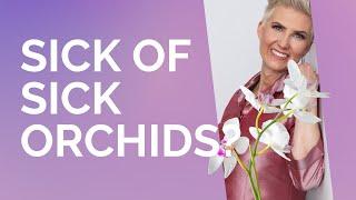 Sick of sick orchids? Here's how to grow healthy orchids.