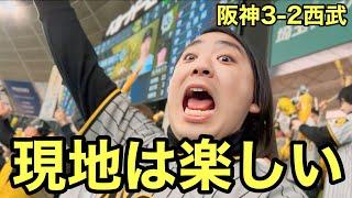 【現地初勝利】大山と近本が不在でも島田と高寺で勝利！やっぱり現地観戦は楽しい！【阪神3-2西武】2025.3.12