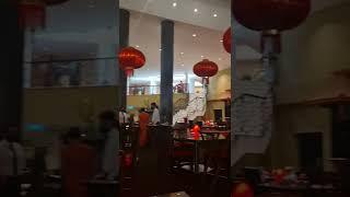 RUBY WU'S CHINESE RESTAURANT,RADISSON BLU DOHA HOTEL#asmr #short #viralvideo #trending