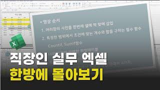 직장인 실무 엑셀 한방에 몰아보기/셀에 사진 삽입/Countif, Sumif/피벗테이블/직작인 필수 단축키