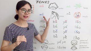 The Tones in Mandarin Chinese | Beginner Lesson 2 | HSK 1