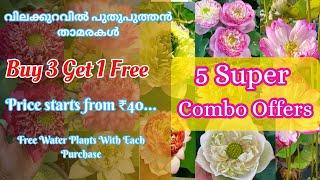 Buy 3 🪷 Get 1 🪷Free@Petalssphere || WITH SUBTITLES (English | Hindi | Tamil)