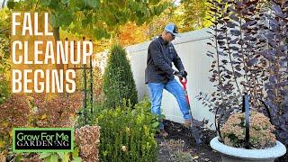 Fall Cleanup Begins  Dividing and Transplanting A Favorite Perennial  Saving Seeds from Verbena