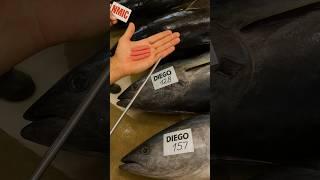 How Is The Price Of A Tuna Fish Determined? By Shiksha SQUARE