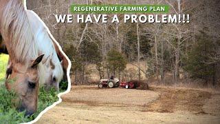 Bringing Our Homestead BACK TO LIFE! Greg Judy Inspired Regenerative Agriculture Plan.