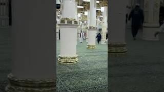 salam #reels #viral #islamicvideo #islamicstatus #islamicshorts #shortsviral #shortvideo #shorts