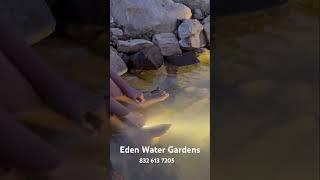 Eden Water Garden | 8x8 pond.