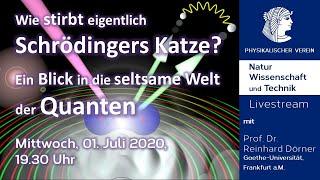 Wie stirbt eigentlich Schrödingers Katze? – Ein Blick in die seltsame Welt der Quanten