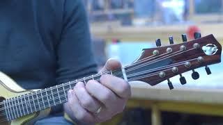 Muleskinner Instruments -  Oval Hole Demo 2