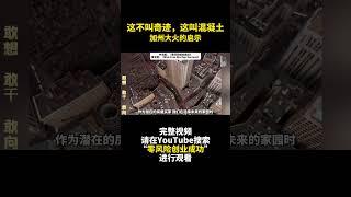 這不叫奇跡，這叫混凝土 - 住房選擇權衡利弊與保險  - 零风险创业成功