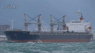 Shipspotting Japan - MV FELICIA K バラ積み船 Bulk carrier 2020JAN