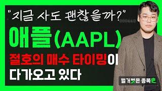 애플 주식, 절호의 매수 타이밍이 다가오고 있다 (f. 아이폰 16 말고 애플 주식을 사세요! 미친듯한 시세, '이 때' 나온다! 월가에서 바라보는 애플의 목표가는?)