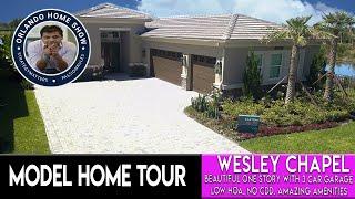 Inside A Gas/Gated Community In Wesley Chapel | No CDD | Beautiful Builder Model.