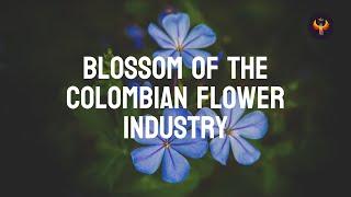  Why Colombian Flower Industry is Blossoming