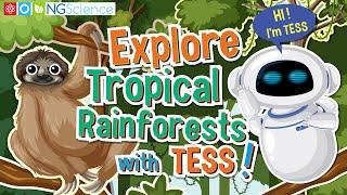 Explore Tropical Rainforests with TESS!