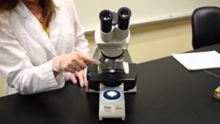 Parts of the Microscope - MCCC Microbiology