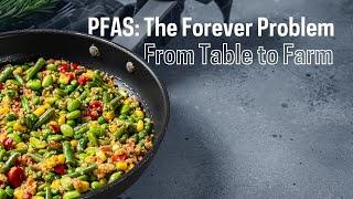 Table to Farm: How toxic PFAS chemicals end up in our food and water