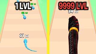 MAX LEVEL in Snake Evolution Run 3D Game