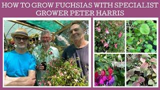 How to grow Fuchsias with specialist grower Peter Harris of White House Nursery.