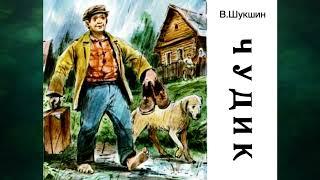 В. Шукшин "Чудик"