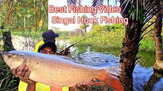 Big Rohu Fish catching Videos | Singal Hook Fishing Techniques | Fishing Videos