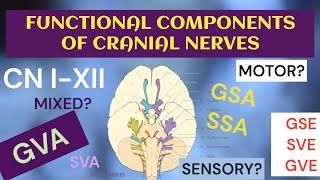 Functional Components of Cranial nerves | Motor and Sensory | Somatic and Visceral