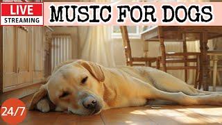 [LIVE] Dog MusicDog Calming MusicSeparation Anxiety ReliefRelaxing Music for Dog Sleep18