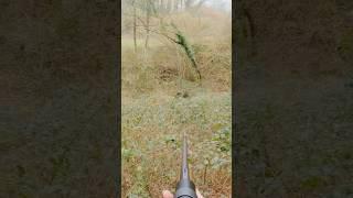 Magnifique tir d'un sanglier de 130kg #chasse #hunting #cinghiale #jabali #battue #wildboar